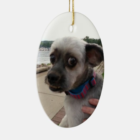 Voeg de foto van uw hond toe aan deze Ornament (Rechts)