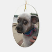 Voeg de foto van uw hond toe aan deze Ornament (Links)