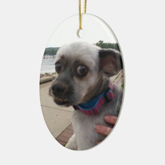Voeg de foto van uw hond toe aan deze Ornament (Links)
