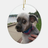 Voeg de foto van uw hond toe aan deze Ornament (Links)
