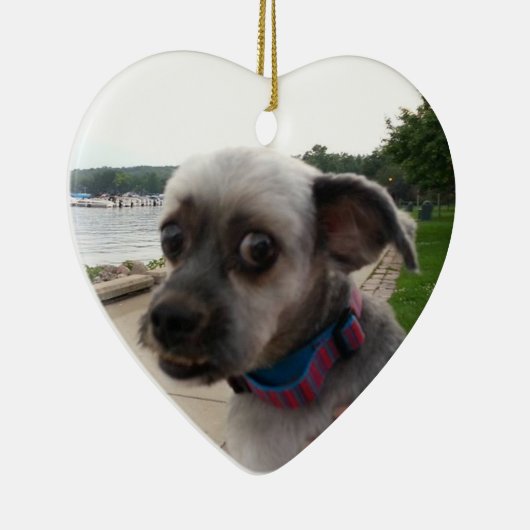 Voeg de foto van uw hond toe aan deze Ornament (Rechts)