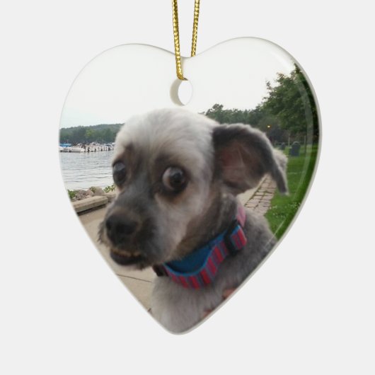 Voeg de foto van uw hond toe aan deze Ornament (Links)