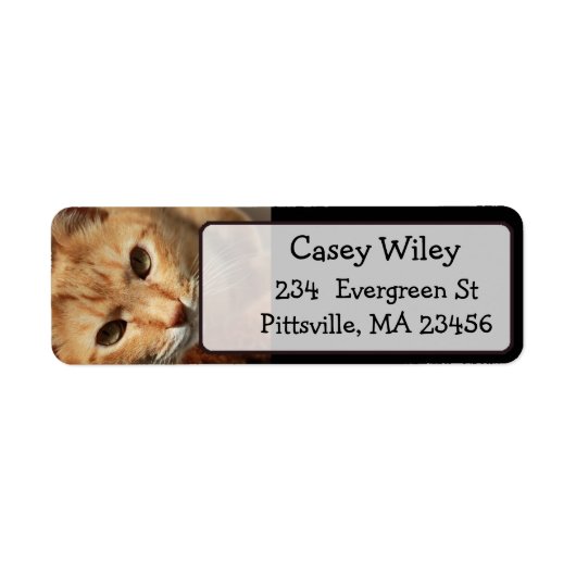 Voeg de Foto van uw Kat aan dit Etiket van Adres t (Voorkant)