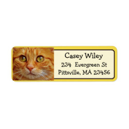 Voeg de Foto van uw Kat aan dit Etiket van Adres t