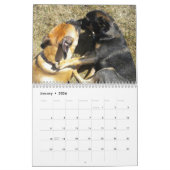 Voeg de foto's van uw huisdier toe aan elke maandk kalender (Jan 2026)