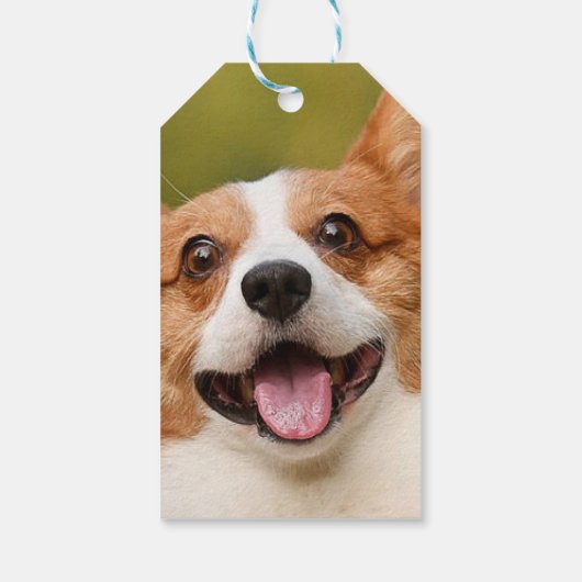 Voeg Dog Photo Personalized Gepersonaliseerd Cadeaulabel (Achterkant)