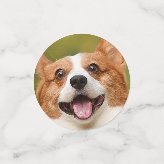 Voeg Dog Photo Personalized Gepersonaliseerd Confetti (Kleine voorkant)