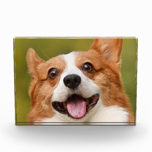 Voeg Dog Photo Personalized Gepersonaliseerd Fotoblokken (Voorkant)