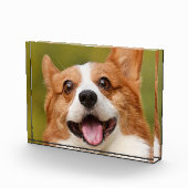 Voeg Dog Photo Personalized Gepersonaliseerd Fotoblokken (Rechts)