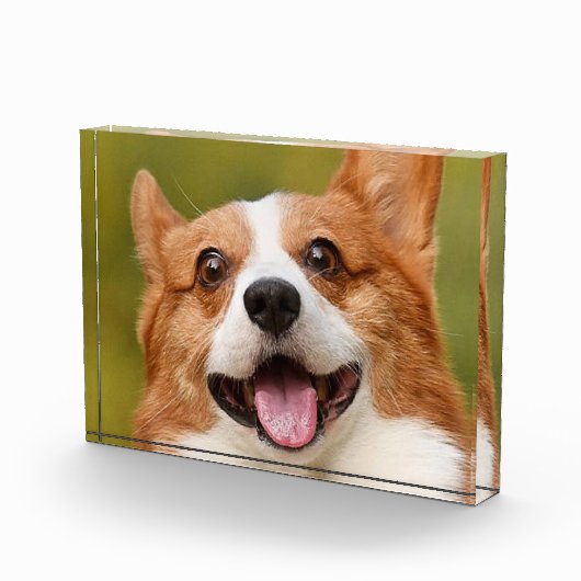 Voeg Dog Photo Personalized Gepersonaliseerd Fotoblokken (Rechts)