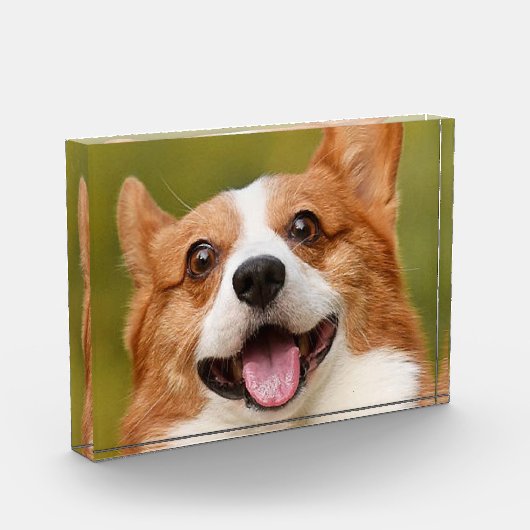 Voeg Dog Photo Personalized Gepersonaliseerd Fotoblokken (Links)