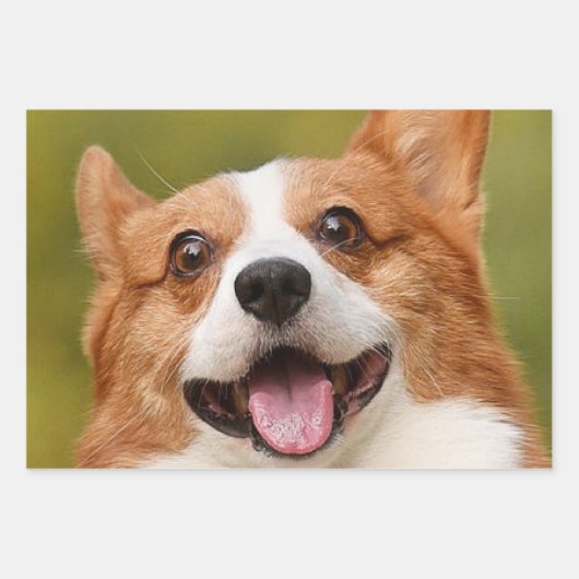 Voeg Dog Photo Personalized Gepersonaliseerd Inpakpapier Vel (Voorkant)