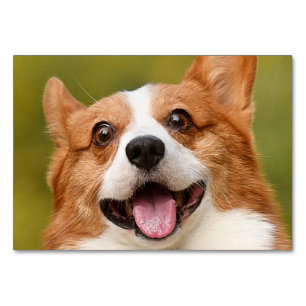 Voeg Dog Photo Personalized Gepersonaliseerd Kaart
