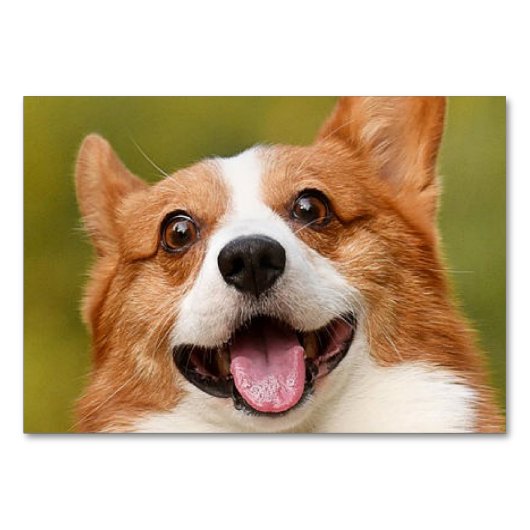 Voeg Dog Photo Personalized Gepersonaliseerd Kaart (Voorkant)