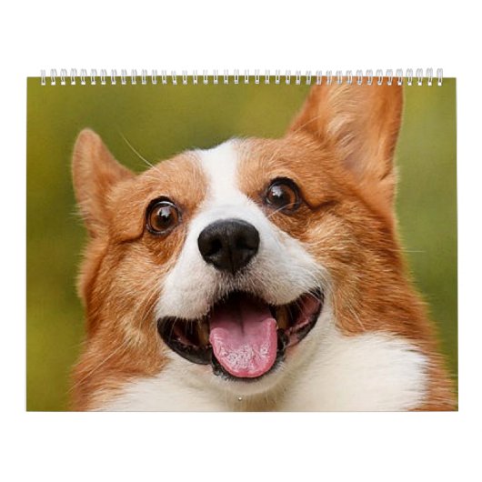 Voeg Dog Photo Personalized Gepersonaliseerd Kalender (Hoes)
