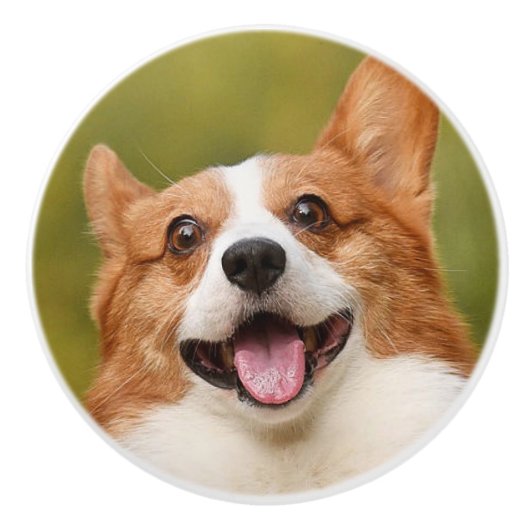 Voeg Dog Photo Personalized Gepersonaliseerd Keramische Knop (Voorkant)