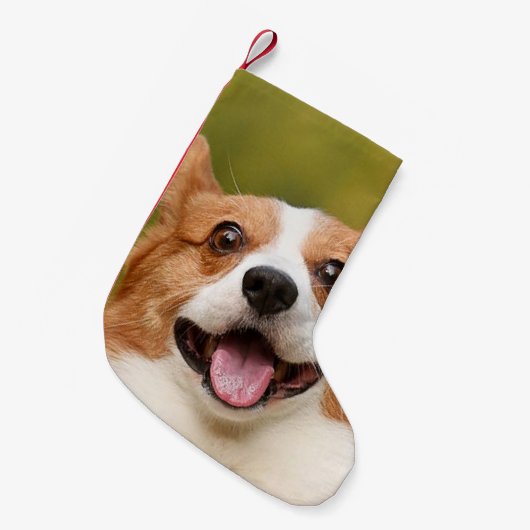 Voeg Dog Photo Personalized Gepersonaliseerd Kleine Kerstsok (Voorkant (Hangend))