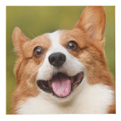 Voeg Dog Photo Personalized Gepersonaliseerd Kubus (Rechts)