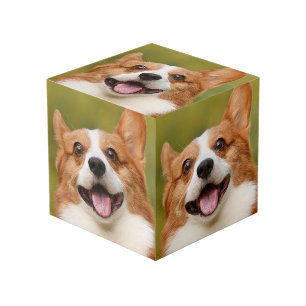 Voeg Dog Photo Personalized Gepersonaliseerd Kubus