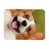 Voeg Dog Photo Personalized Gepersonaliseerd Magneet (Horizontaal)