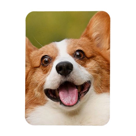 Voeg Dog Photo Personalized Gepersonaliseerd Magneet (Verticaal)