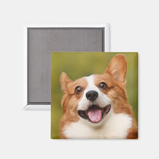 Voeg Dog Photo Personalized Gepersonaliseerd Magneet (Voorkant / Achterkant)