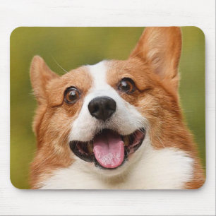 Voeg Dog Photo Personalized Gepersonaliseerd Muismat