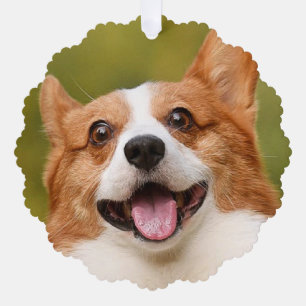 Voeg Dog Photo Personalized Gepersonaliseerd Ornament Kaart