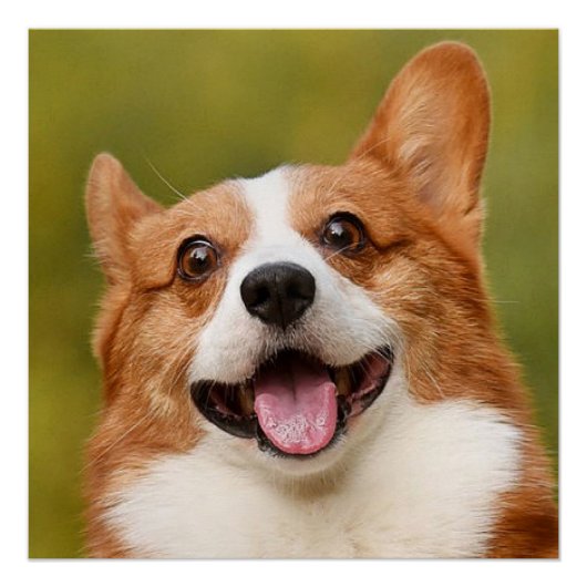 Voeg Dog Photo Personalized Gepersonaliseerd Perfect Poster (Voorkant)