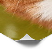 Voeg Dog Photo Personalized Gepersonaliseerd Perfect Poster (Hoek)