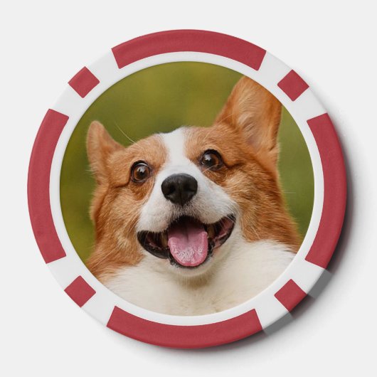 Voeg Dog Photo Personalized Gepersonaliseerd Poker Chips (Achterkant)