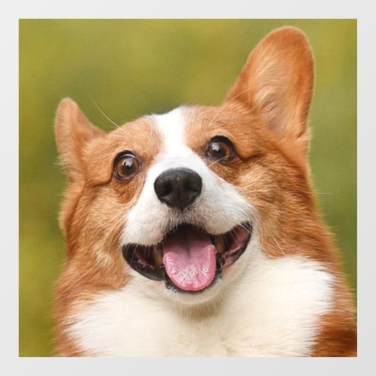 Voeg Dog Photo Personalized Gepersonaliseerd Raamsticker (Vel)