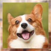 Voeg Dog Photo Personalized Gepersonaliseerd Raamsticker (Vel 2)