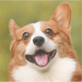 Voeg Dog Photo Personalized Gepersonaliseerd Sticker (Voorkant)