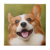 Voeg Dog Photo Personalized Gepersonaliseerd Tegeltje (Voorkant)