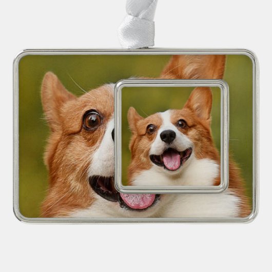 Voeg Dog Photo Personalized Gepersonaliseerd Verzilverd Omlijst Ornament (Voorkant)