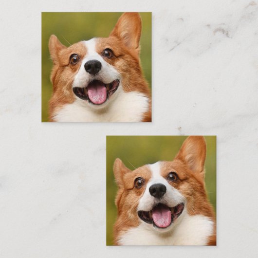 Voeg Dog Photo Personalized Gepersonaliseerd Vierkante Visitekaartje (Voorkant / Achterkant)