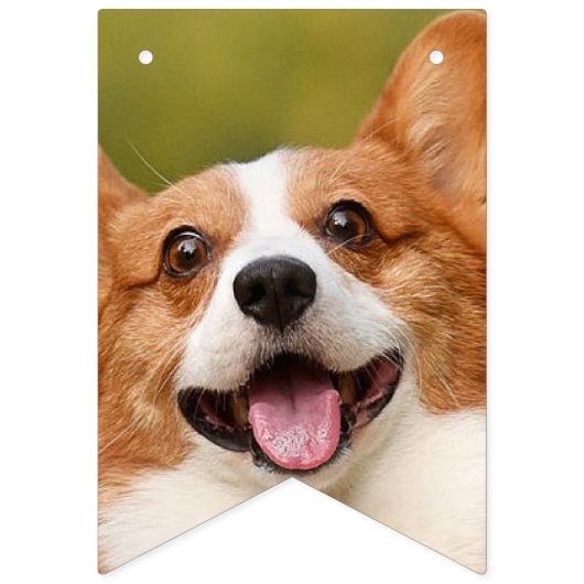 Voeg Dog Photo Personalized Gepersonaliseerd Vlaggetjes (Eerste vlag)