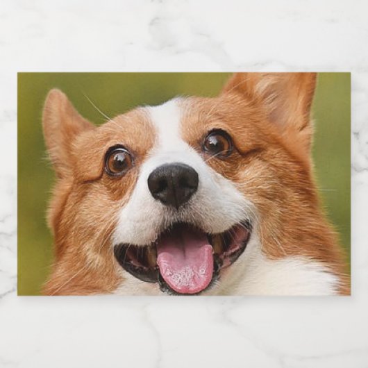 Voeg Dog Photo Personalized Gepersonaliseerd Voedselcontainer Etiket (Enkel label)