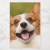 Voeg Dog Photo Personalized Gepersonaliseerd Voedselcontainer Etiket (Enkel label)