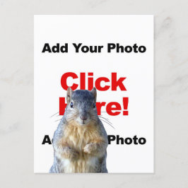Voeg een eekhoorn aangepaste foto ansichtkaart toe briefkaart