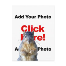 Voeg een eekhoorn aangepaste foto ansichtkaart toe