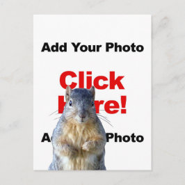 Voeg een eekhoorn aangepaste foto ansichtkaart toe briefkaart