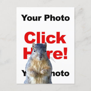 Voeg een eekhoorn aangepaste foto ansichtkaart toe briefkaart