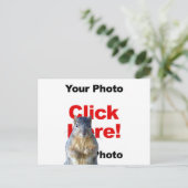 Voeg een eekhoorn aangepaste foto ansichtkaart toe briefkaart (Staand voorkant)