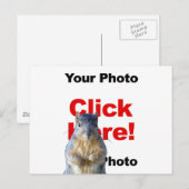 Voeg een eekhoorn aangepaste foto ansichtkaart toe briefkaart (Voorkant / Achterkant)