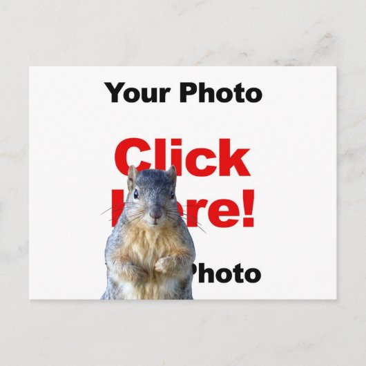 Voeg een eekhoorn aangepaste foto ansichtkaart toe briefkaart (Voorkant)