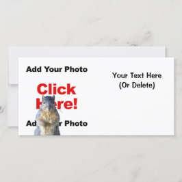 Voeg een eekhoorn aangepaste fotocard toe