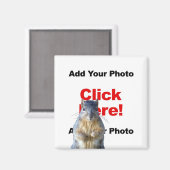 Voeg een Eekhoorn aangepaste magneet toe (Voorkant / Achterkant)