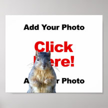 Voeg een eekhoorn op maat gemaakte foto poster toe